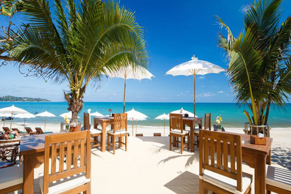 Lamai Coconut Beach Resort image 1